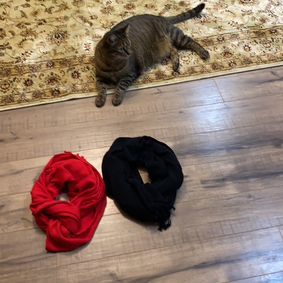2scarves for sale - Picture 8 of 8